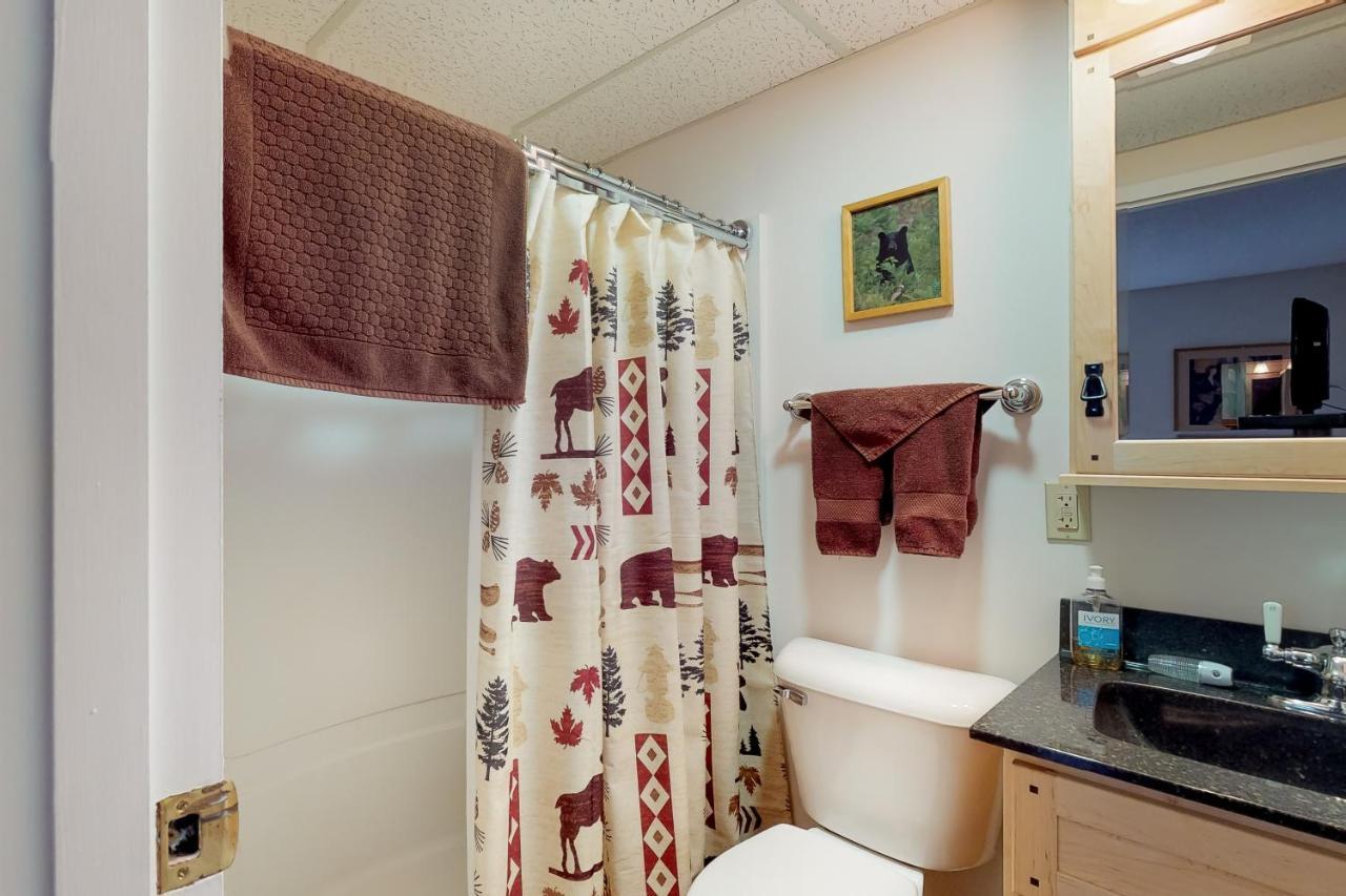 Squaw Village Condo Greenville Ruang foto